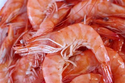 Listeria des crevettes vendues par Carrefour et Leclerc rappelées