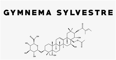 Gymnema Sylvestre: Uses, Side Effects, Interactions, Dosage and Supplements