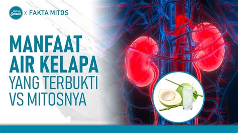 Air Kelapa Bisa Menetralisir Racun Fakta Atau Mitos Hidup Sehat