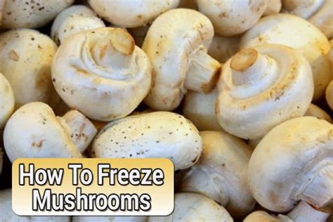 How To Freeze Mushrooms