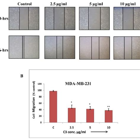 A Cell Migration Assay Of Mda Mb Cells Treated With C Compound