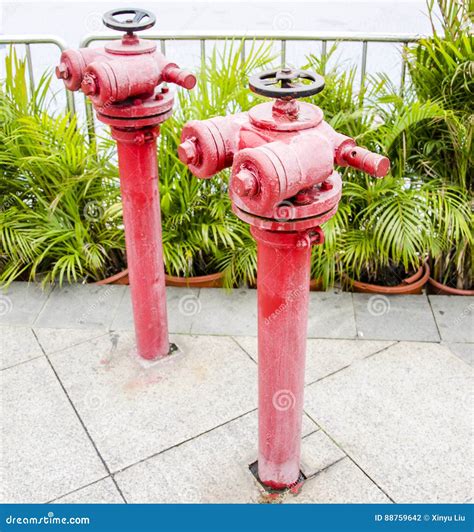 Fire Hydrant Stock Photo Image Of Flower Design Steel 88759642