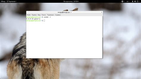 Как узнать версию ядра Linux - Losst