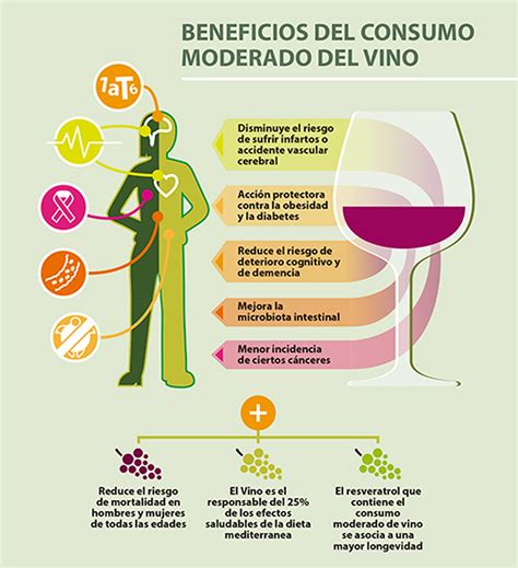 Los Diversos Beneficios Sobre La Salud Derivados Del Consumo De Vino