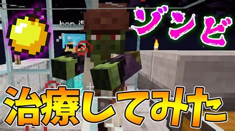 【マイクラ】『村人ゾンビ』を治療してみた！！！【ドズクラpart126】【ドズぼん】 Youtube