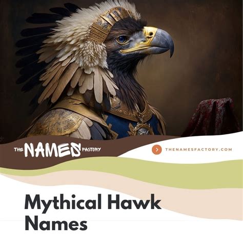 310 Hawk Names For The Amazing Birds That Rules The Sky