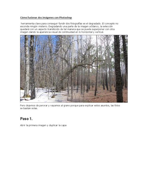 PDF Cómo fusionar dos imágenes con Photoshop DOKUMEN TIPS