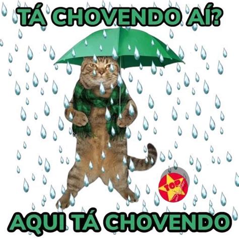 Pin de A C Borges Costa Borges em Chuva Chuva frases engraçadas