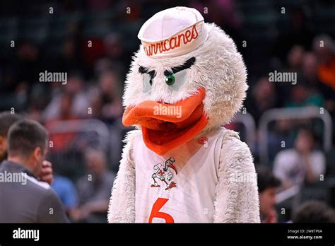 CORAL GABLES, FL - DECEMBER 21: Miami's mascot, Sebastian the Ibis ...