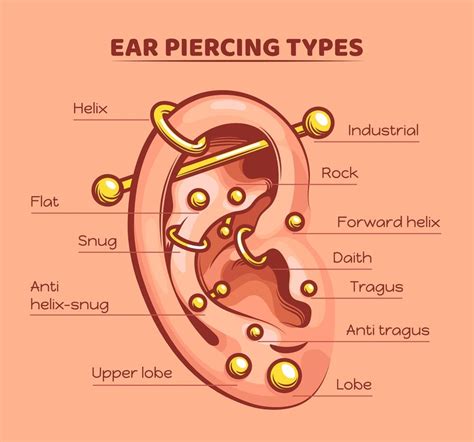 Exploring Popular Types And Styles Of Ear Piercings