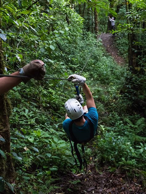 10 Best Things to Do at Monteverde Cloud Forest | EF Go Ahead Tours