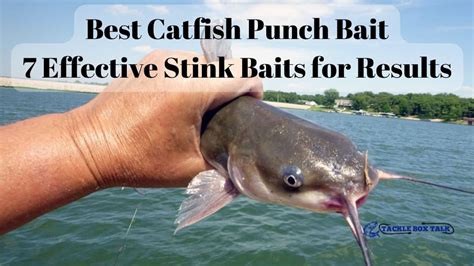 Best Catfish Punch Bait 7 Effective Stink Baits For Results