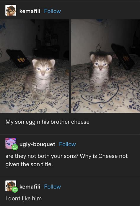 My Son Egg And His Brother Cheese Rtumblr