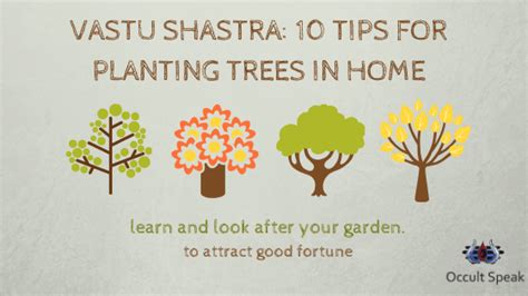 10 Secrets Tips For Planting Trees In Home As Per Vastu Shastra