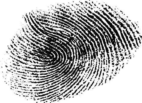 Fingerprint PNG Transparent Images Pictures Photos PNG Arts