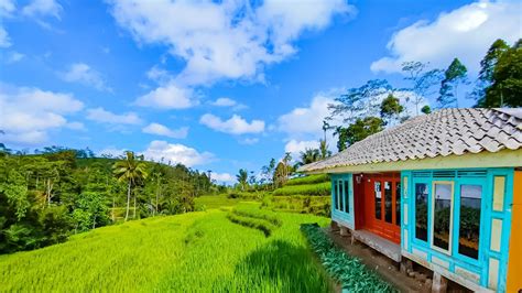 Betah Banget Menikmati Hidup Di Desa Udaranya Sejuk Ayem Tentram Alam