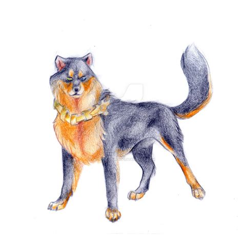 Rusty/wolf form pencil ref by LuckyStarhun on DeviantArt