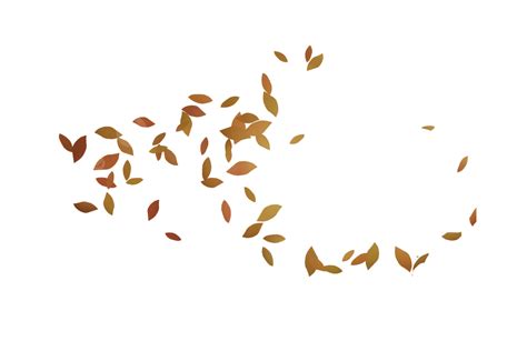 Fallen Leaves PNG Picture Fallen Leaves Leaves Leaf PNG Image For