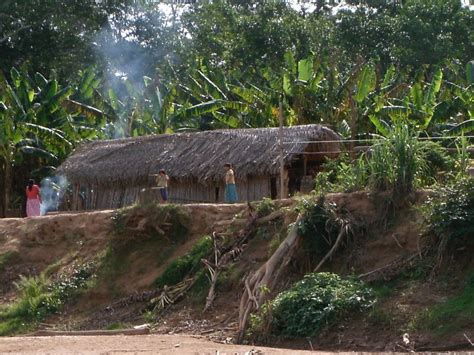 Remote Amazon Tribe May Have Healthiest Hearts On Earth