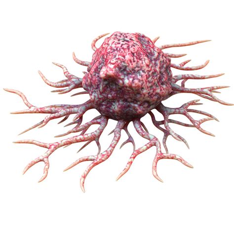 3d Cancer Cell Model Turbosquid 1833082