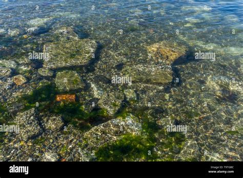 Bottom Veiw Hi Res Stock Photography And Images Alamy