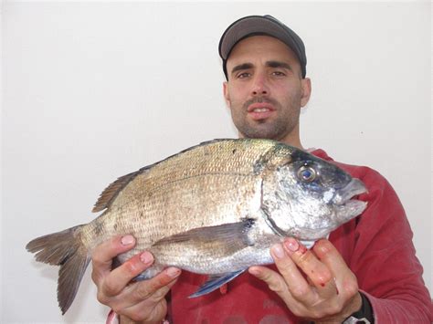 Litoral Alentejano Surf E Pesca De Volta A Norte