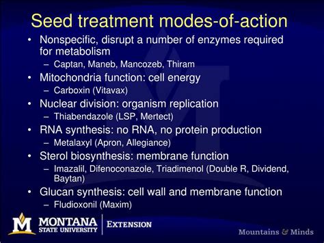 Ppt The Effectiveness Of Seed Treatments For Controlling Plant