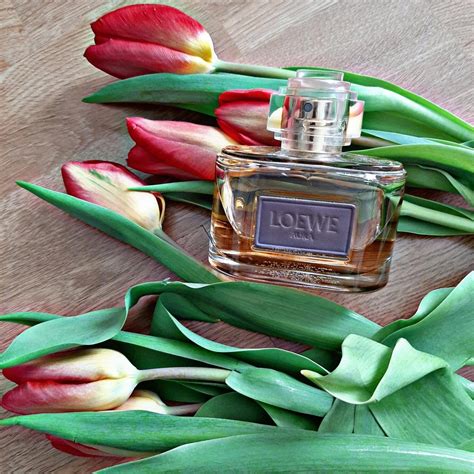 Aura Loewe Floral Loewe fragancia - una fragancia para Mujeres 2016
