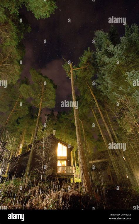 Woodland at night Stock Photo - Alamy