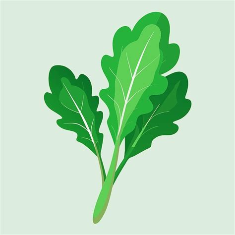 Arugula Food Vector Illustration Premium AI Generated Vector