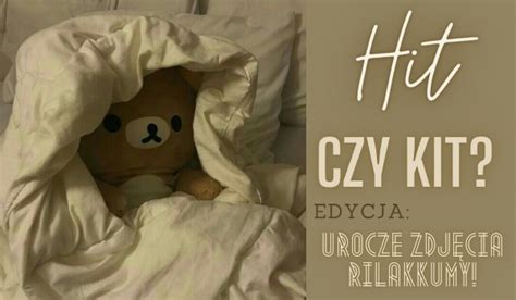 Hit czy kit Edycja Urocze zdjęcia Rilakkumy sameQuizy