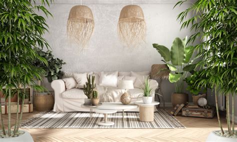 Cómo mejorar el Feng Shui con plantas de interior en tu hogar