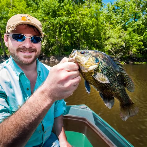 The Best Fishing Rods For Panfish Usangler