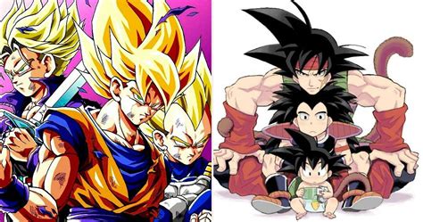 Crazy Details About Saiyan Anatomy In Dragon Ball Z