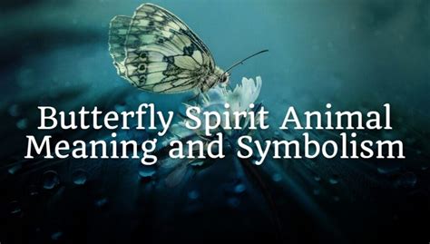 Butterfly Spirit Animal Meaning and Symbolism - Spirit Animal Encyclopedia