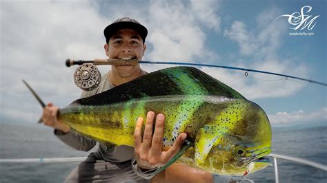 Mahi Mahi Fishing On The Fly Pesca De Dorado Con Mosca YouTube