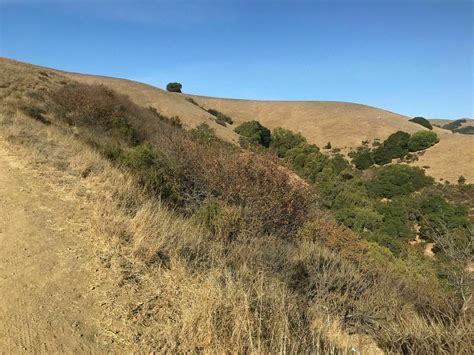 High Ridge and Pioneer Trail Loop - California | AllTrails