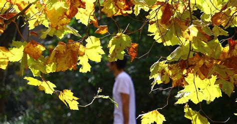 I danas uživajte u toplom danu Temperatura do 25 stepeni uz smenu