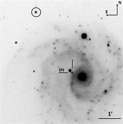 R Band Image Of Sn 2016bkv In Ngc 3184 Taken Using Howpol The Location