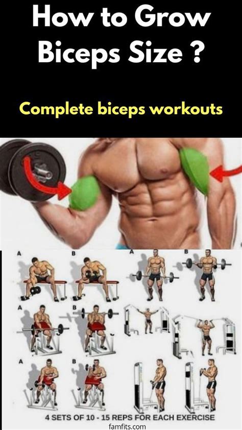 Ejercicios Para Tus Bíceps Best Bicep Workout Shoulder Workout