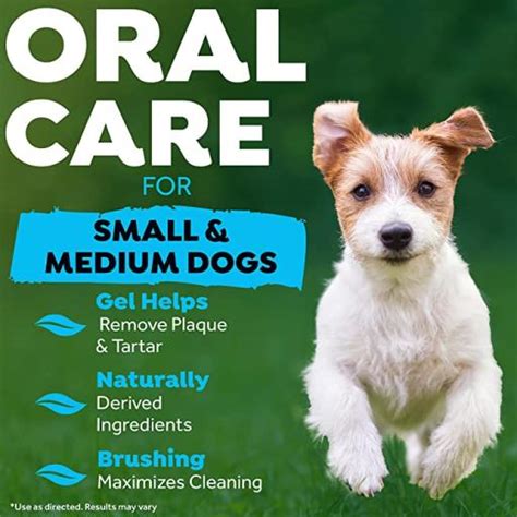 TropiClean Kit de Higiene Dental Fresh Breath para Perros Pequeños y