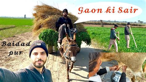 Bidadpur Village Sheikhupura Gaon Ki Sair Youtube