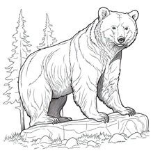 Bear Art Free Stock Photo - Public Domain Pictures