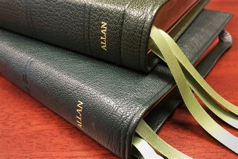 Allan Nlt And Nasb Bibles In Green Goatskin Leather Nasb Bible