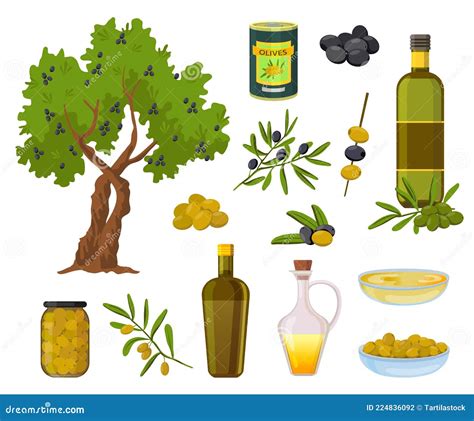 Productos De Oliva De Dibujos Animados Aceitunas Negras Y Verdes En