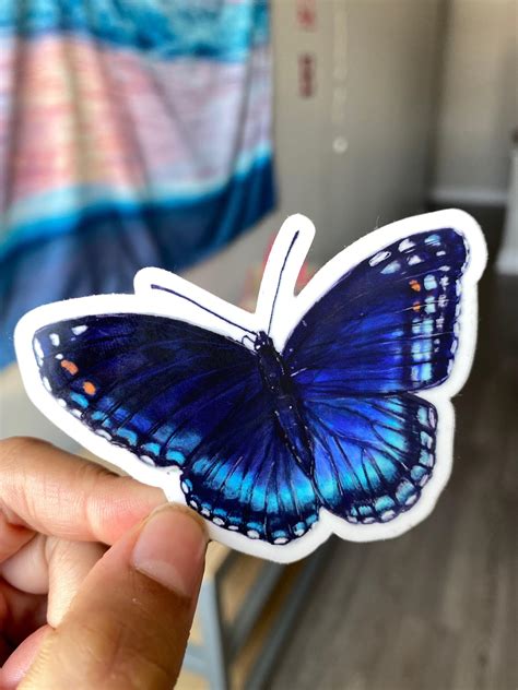 Blue butterfly stickers (designed by me!) :) : r/stickers