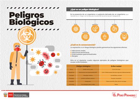 Infografia 3 Peligros Biológicos Peligros Biologicos Es La Presencia