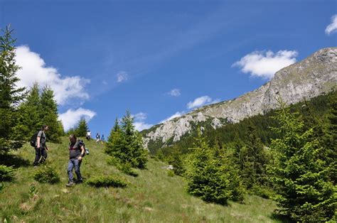 Active Trekking Tour In Bucegi Natural Park And Piatra Craiului 3