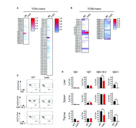 T Cell Receptor Gene Usage In Cd D Tetramer Binding Cells From Wt And