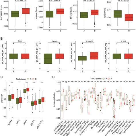 Immune Microenvironment Landscape Characteristic In DAG Based Molecular